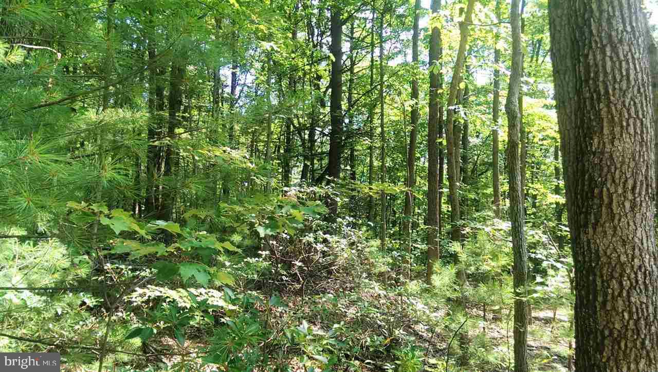 1 Paradise Road Duncannon, PA 17020 - Photo 4 of 7 Gallery Image 4