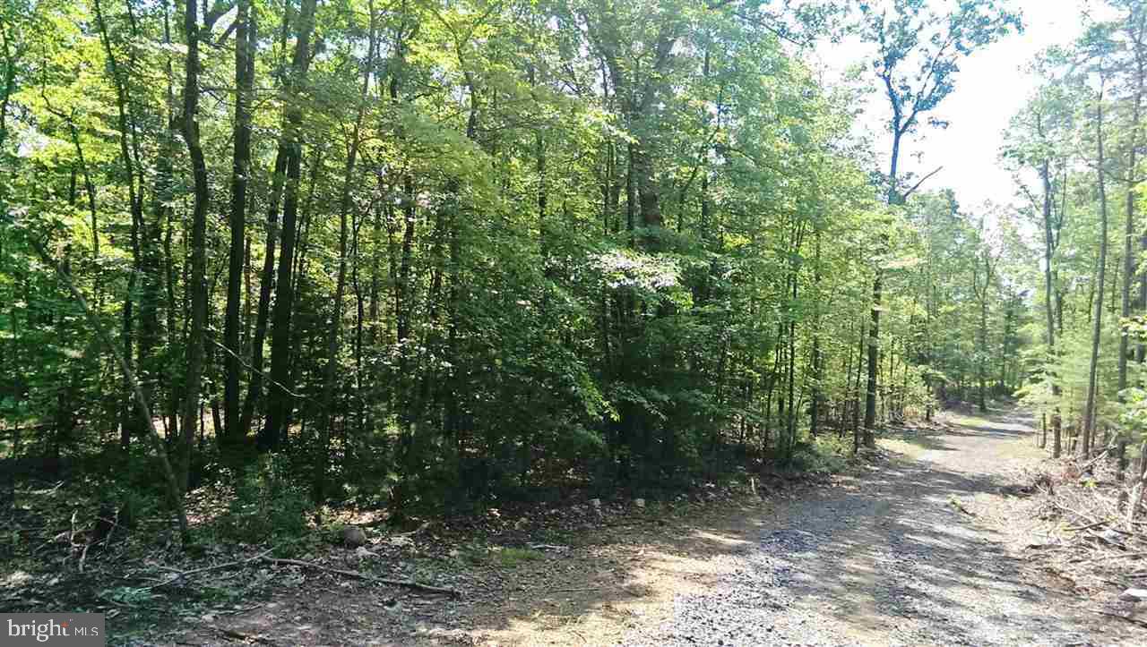 1 Paradise Road Duncannon, PA 17020 - Photo 5 of 7 Gallery Image 5