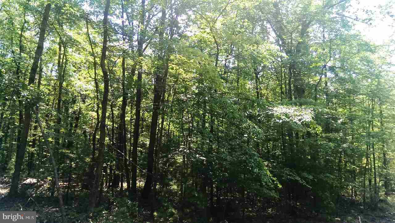 1 Paradise Road Duncannon, PA 17020 - Photo 6 of 7 Gallery Image 6