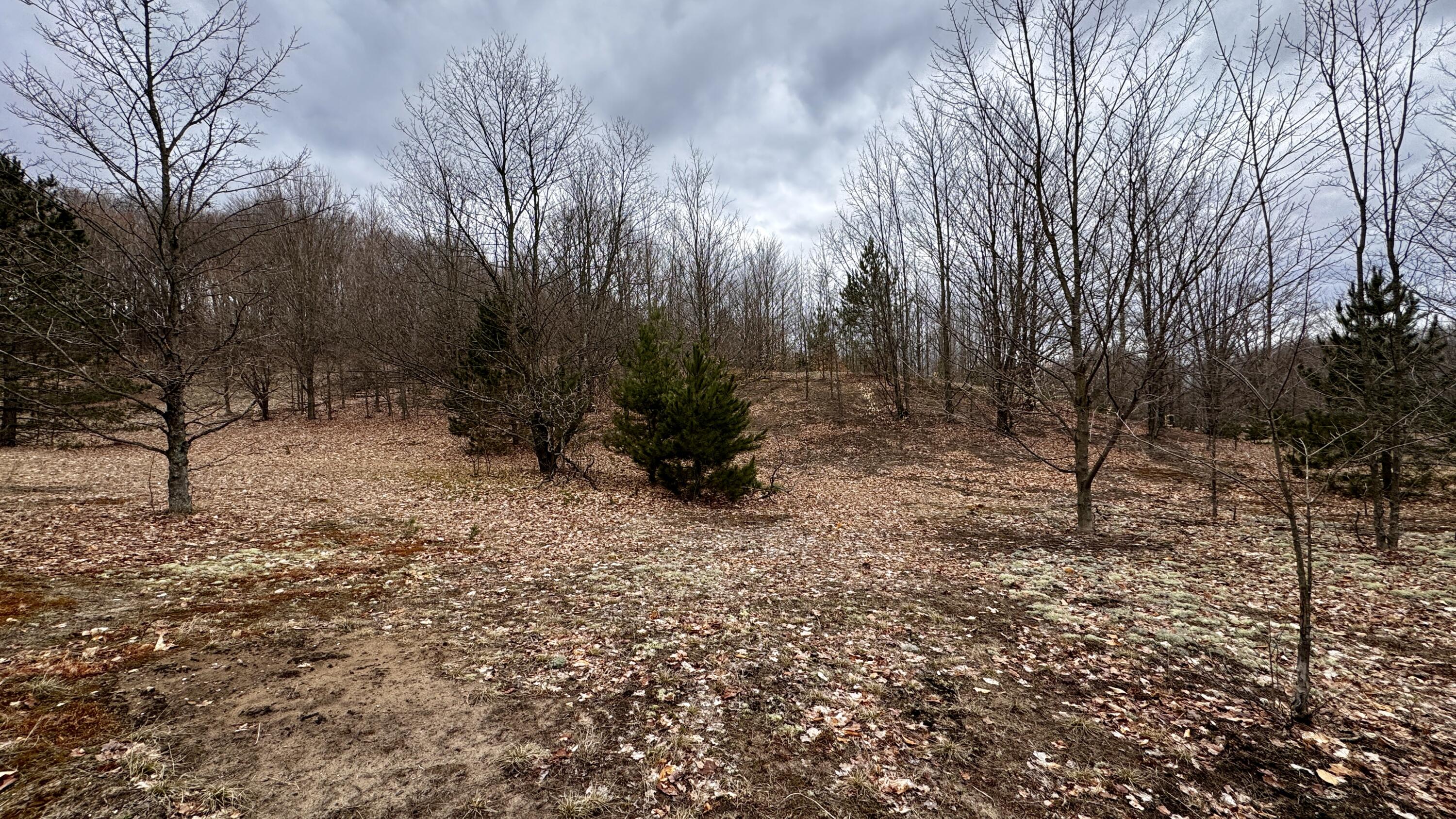12854 Litzen Road Copemish, MI 49625 - Photo 29 of 33 Greg Bosscher (17)