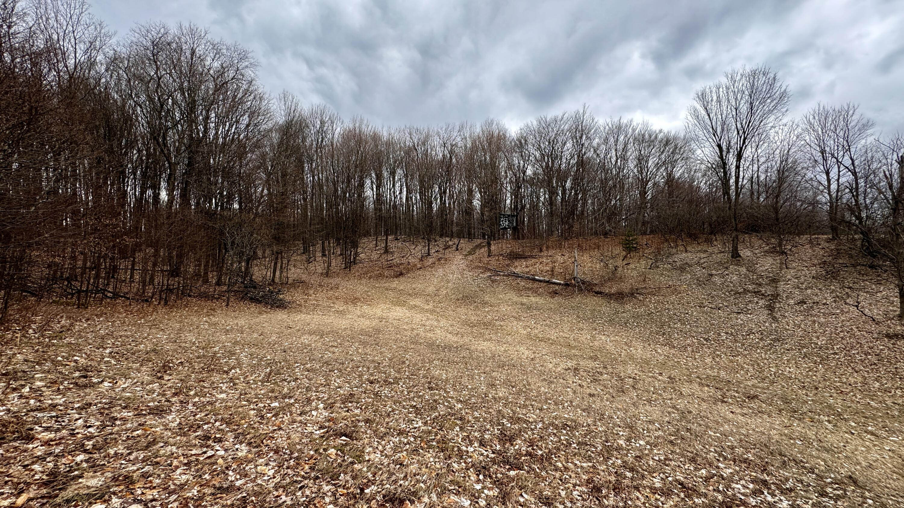 12854 Litzen Road Copemish, MI 49625 - Photo 30 of 33 Greg Bosscher (18)