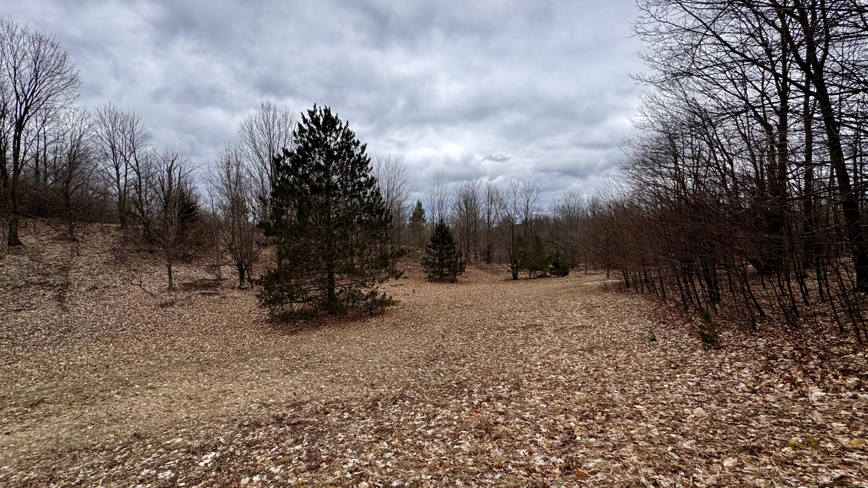 12854 Litzen Road Copemish, MI 49625 - Photo 32 of 33 Greg Bosscher (20)