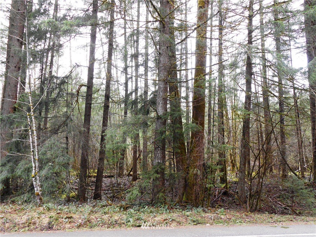 891 Cannon Road Packwood, WA 98361 - Photo 2 of 4 Gallery Image 2