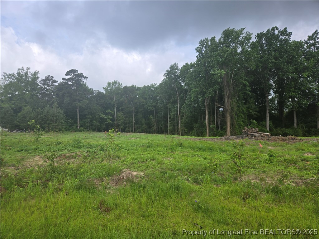 Blue Springs Road Red Springs, NC 28377 - Photo 13 of 15 Gallery Image 13