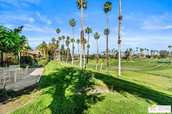 a view of a park with palm trees