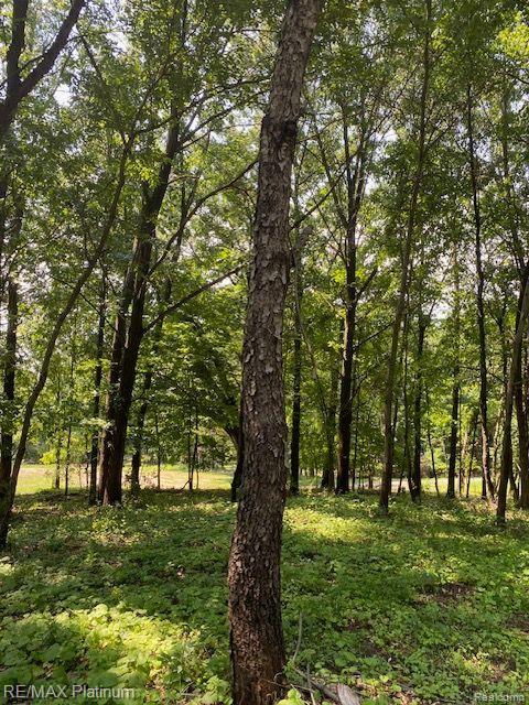 7 Sleaford-parcel 7 - 2 Acres Road Howell, MI 48843 - Photo 20 of 45
