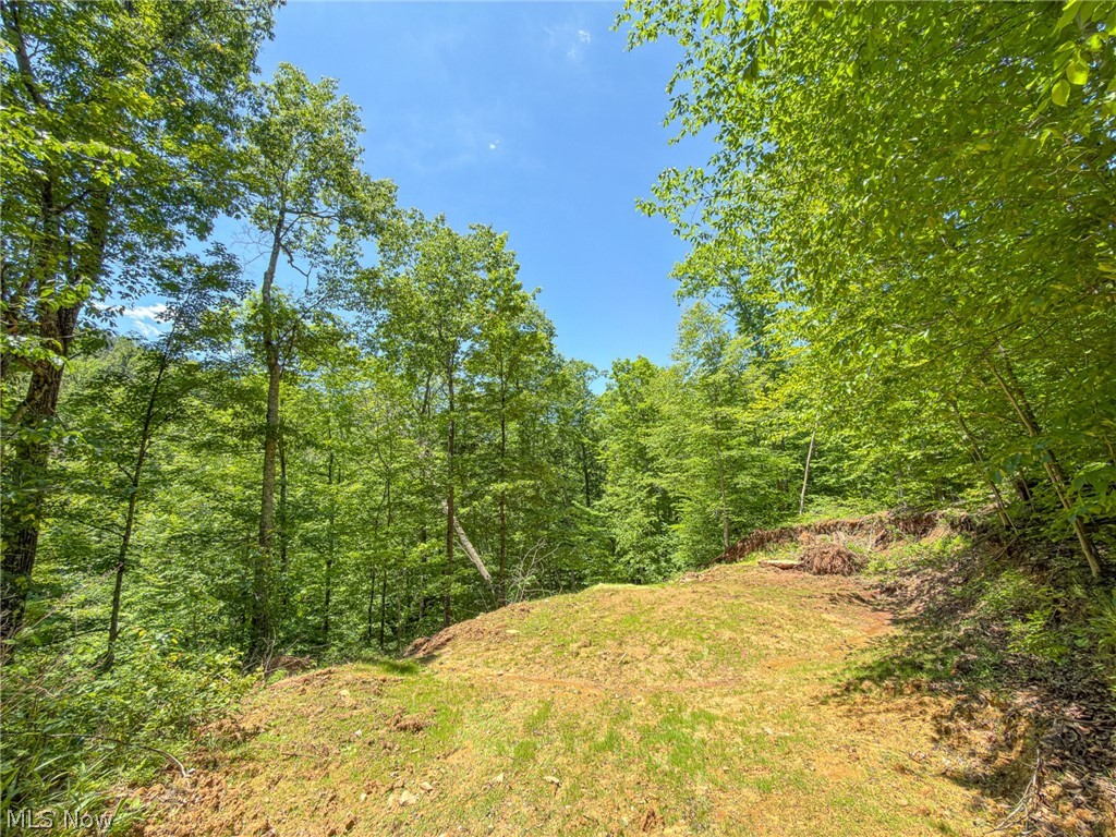 0 Twp Road Marietta, OH 45750 - Photo 16 of 50