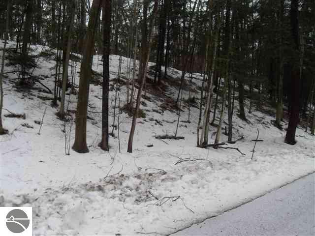 0 East Omena Point Road Omena, MI 49674 - Photo 5 of 9 1733690-4.JPG