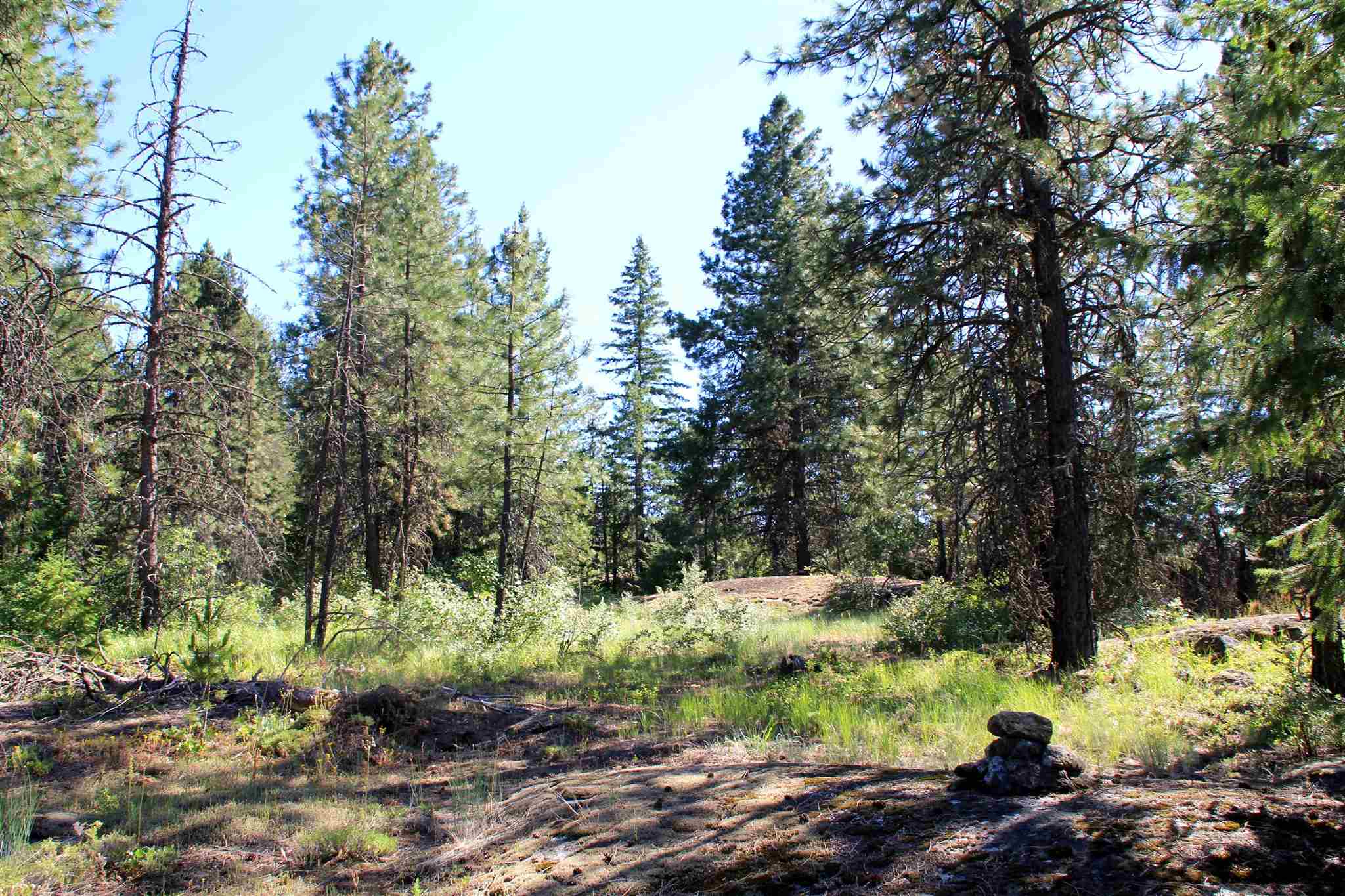 4731 Baker Lake Road Newport, WA 99156 - Photo 14 of 17 Gallery Image 14