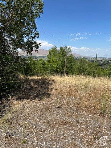 12700 South 3620 Street West Payson, UT 84651 - Photo 5 of 5 View of nature with a mountain backdrop
