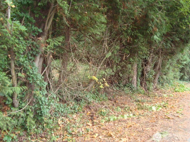 0 Tracyton Beach Road Northwest Bremerton, WA 98310 - Photo 12 of 33 Gallery Image 12