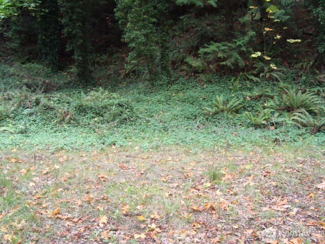 0 Tracyton Beach Road Northwest Bremerton, WA 98310 - Photo 17 of 33 Gallery Image 17
