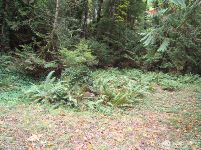 0 Tracyton Beach Road Northwest Bremerton, WA 98310 - Photo 18 of 33 Gallery Image 18