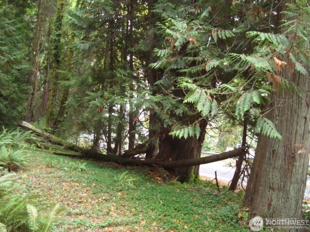 0 Tracyton Beach Road Northwest Bremerton, WA 98310 - Photo 19 of 33 Gallery Image 19