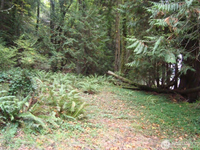 0 Tracyton Beach Road Northwest Bremerton, WA 98310 - Photo 23 of 33 Gallery Image 23
