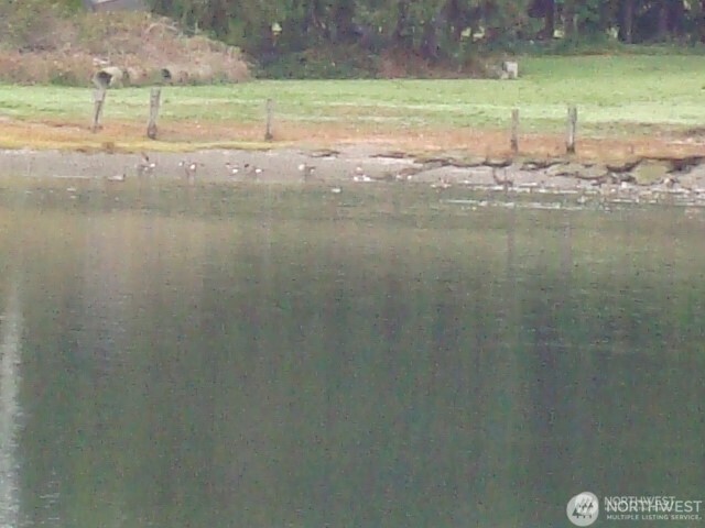 0 Tracyton Beach Road Northwest Bremerton, WA 98310 - Photo 9 of 33 Gallery Image 9