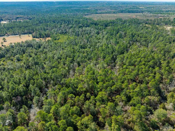 $195,000 | Lot 13 Brook Crossing Street, Pace, FL 32571