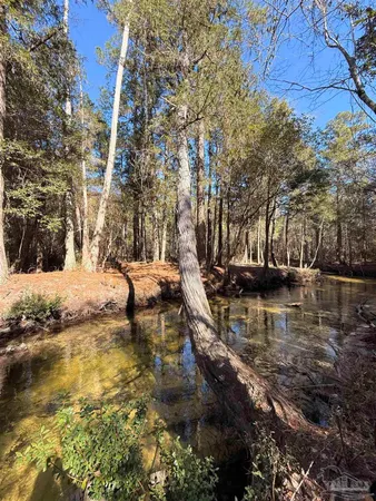 $195,000 | Lot 13 Brook Crossing Street, Pace, FL 32571