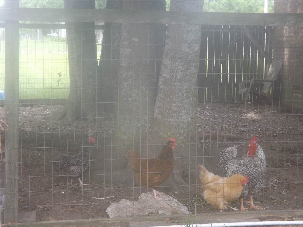 12965 Gum Swamp Road Fairhope, AL 36532 - Photo 14 of 19 chicken coop