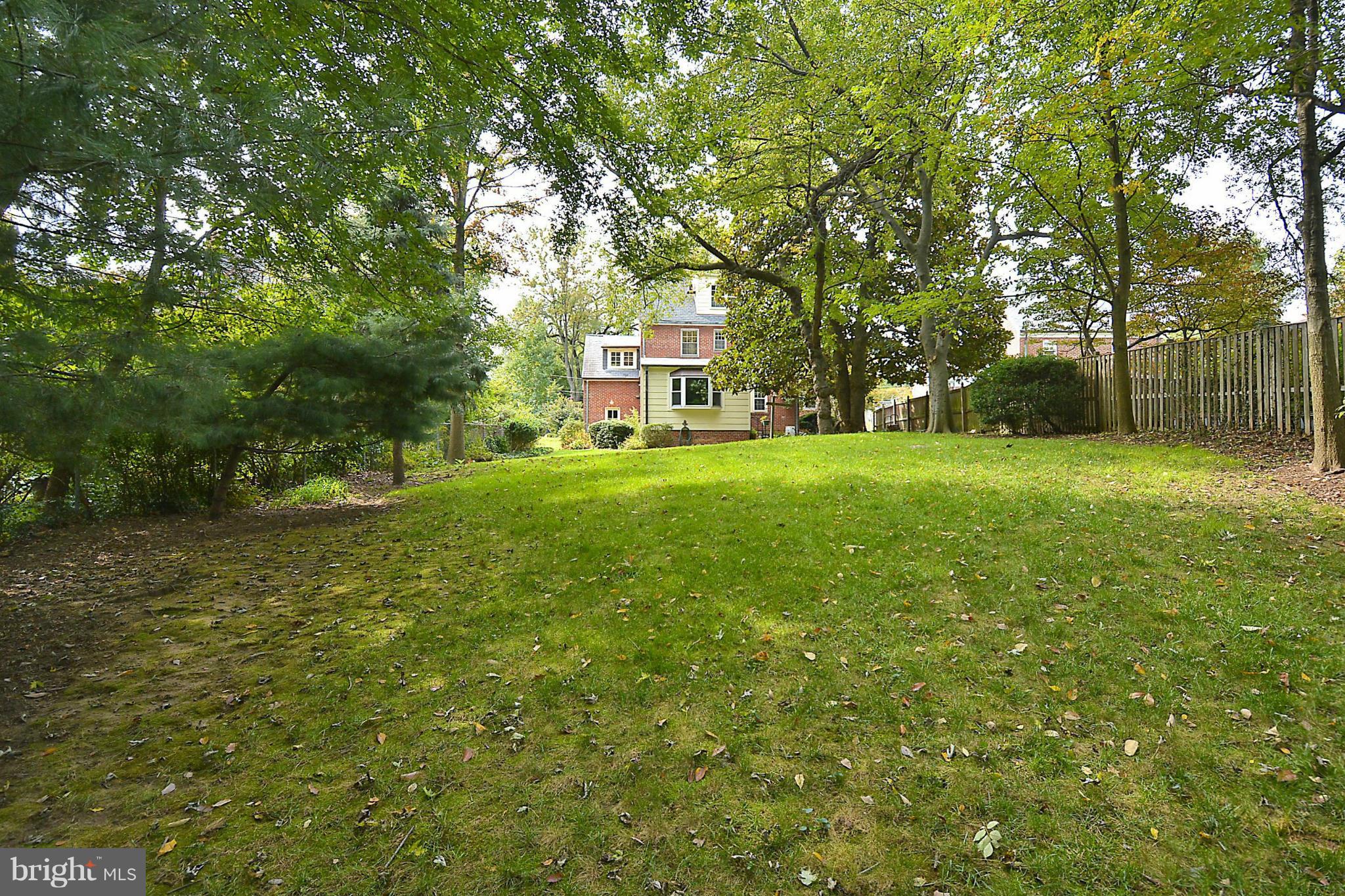 1111 Woodside Parkway Silver Spring, MD 20910 - Photo 2 of 30 a view of a big yard with plants and large trees