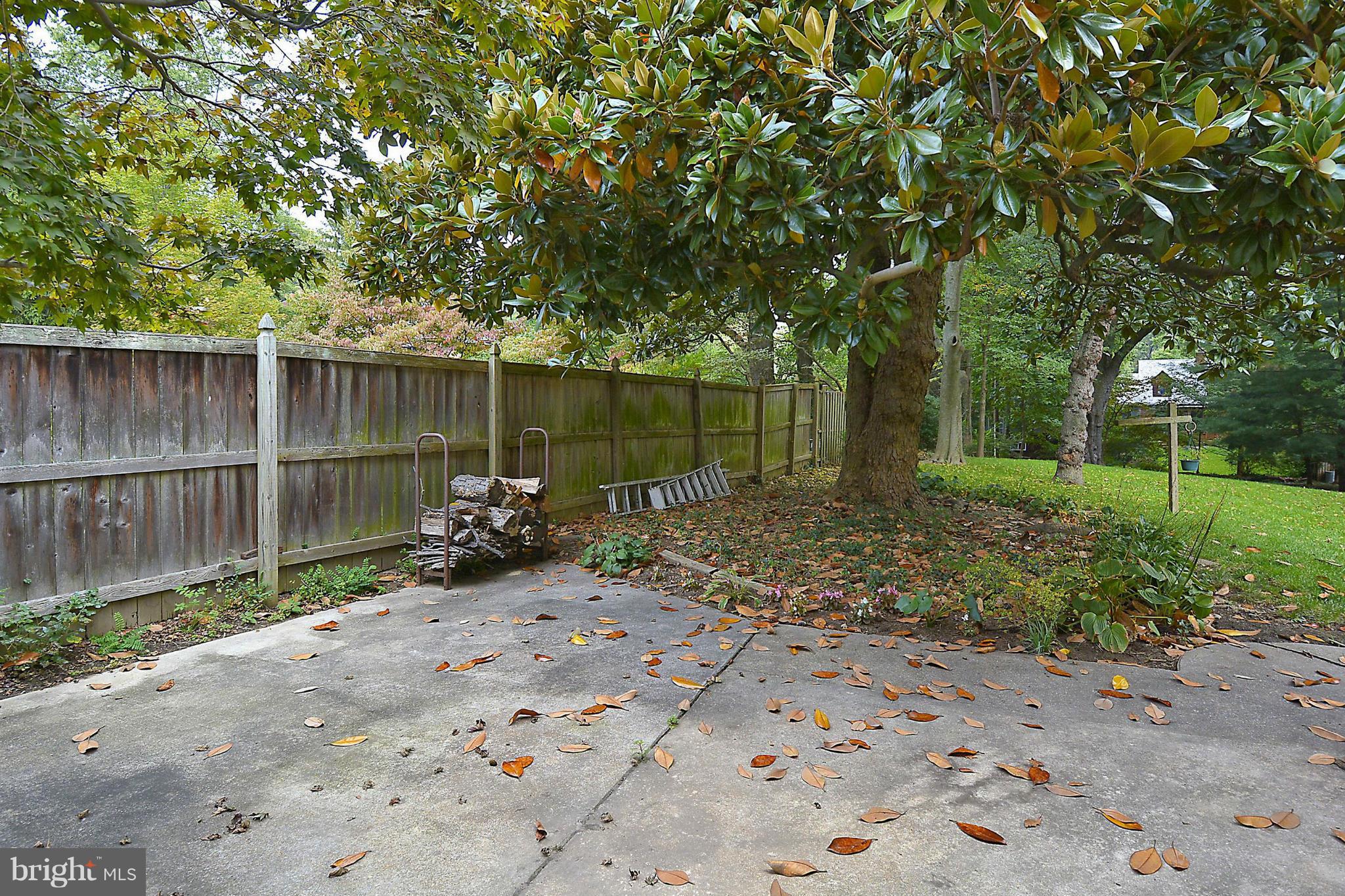1111 Woodside Parkway Silver Spring, MD 20910 - Photo 29 of 30 a view of a backyard with large trees and wooden fence