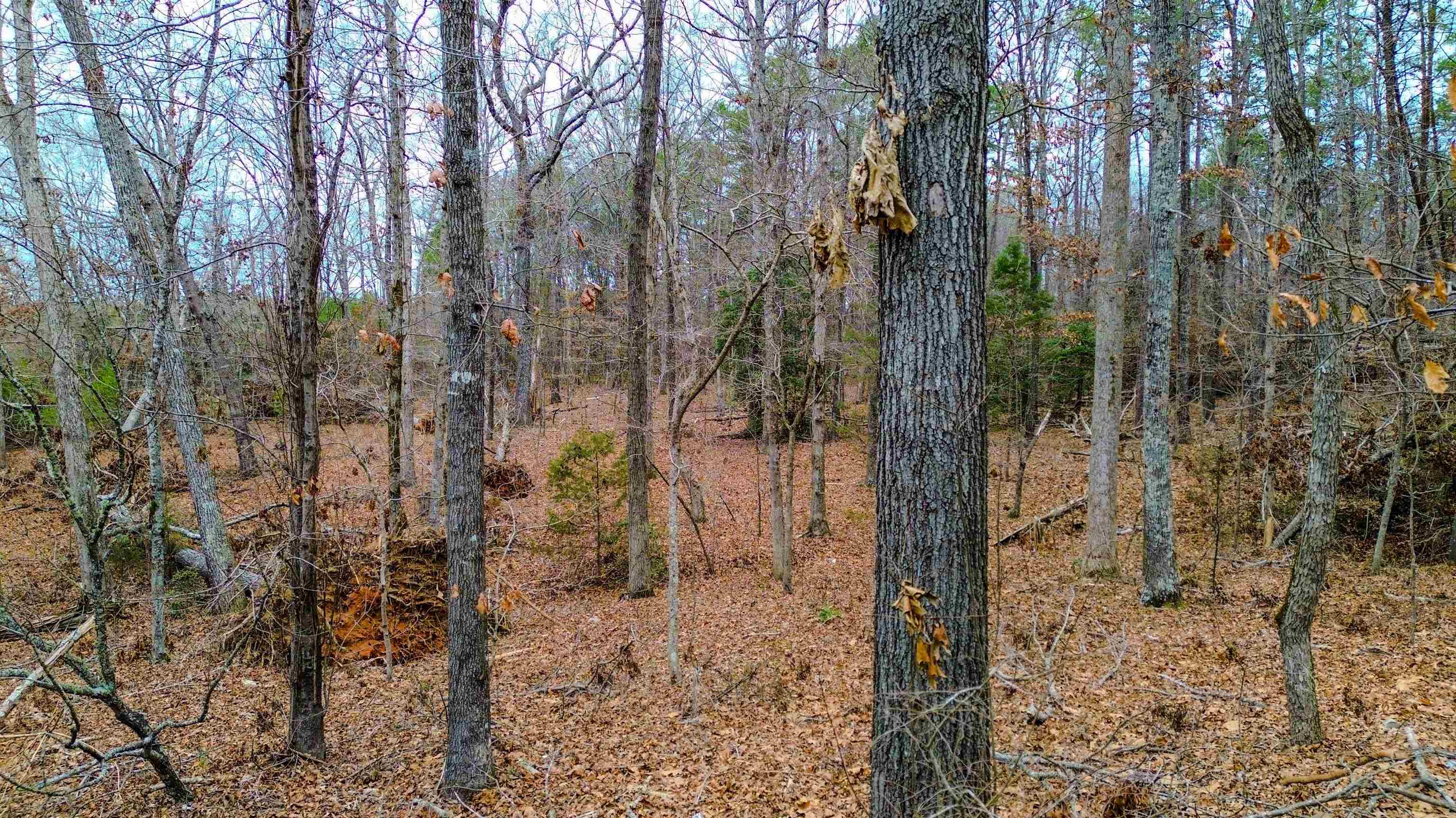 754 State Line Road Gaffney, SC 29341 - Photo 7 of 34