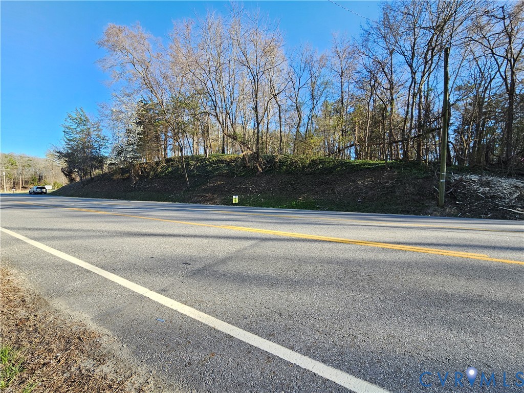 Lot B Layne Street Farmville, VA 23901 - Photo 12 of 12 a view of swimming pool with large trees
