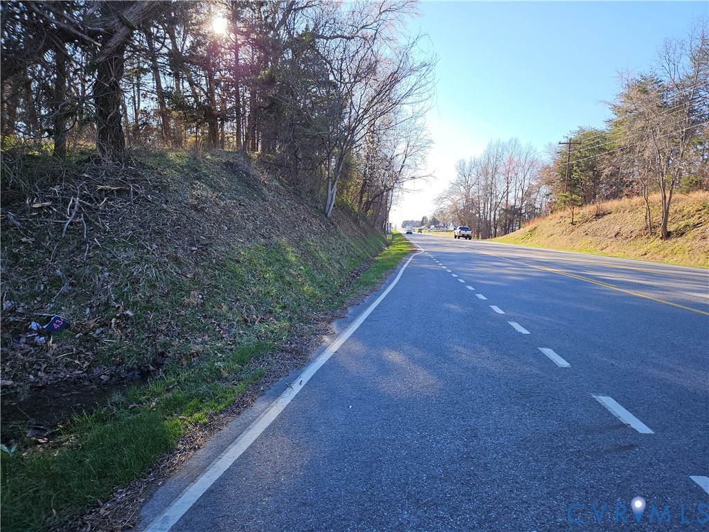 Lot B Layne Street Farmville, VA 23901 - Photo 2 of 12 a view of a yard with a large trees