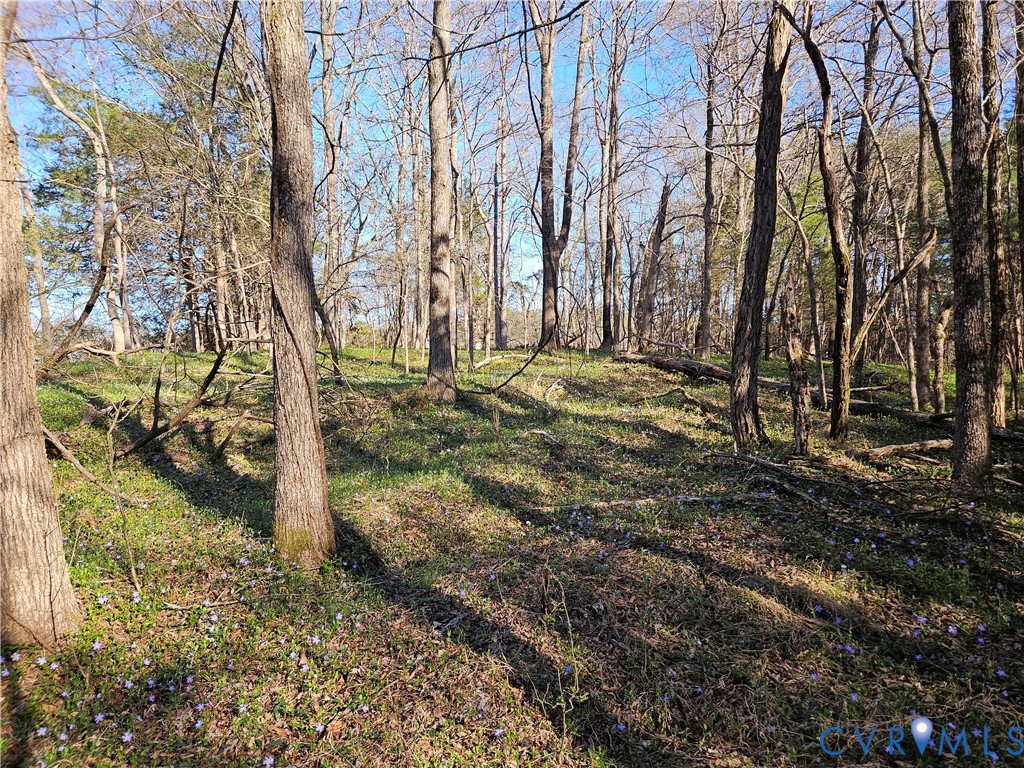 Lot B Layne Street Farmville, VA 23901 - Photo 5 of 12 a view of a backyard