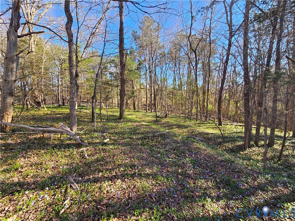 Lot B Layne Street Farmville, VA 23901 - Photo 6 of 12 a backyard of a house with lots of green space