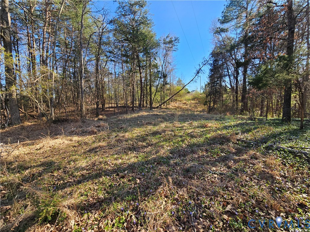 Lot B Layne Street Farmville, VA 23901 - Photo 7 of 12 a view of a yard with a tree