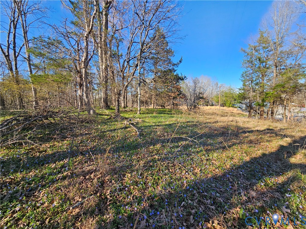 Lot B Layne Street Farmville, VA 23901 - Photo 8 of 12 a view of dirt yard with trees