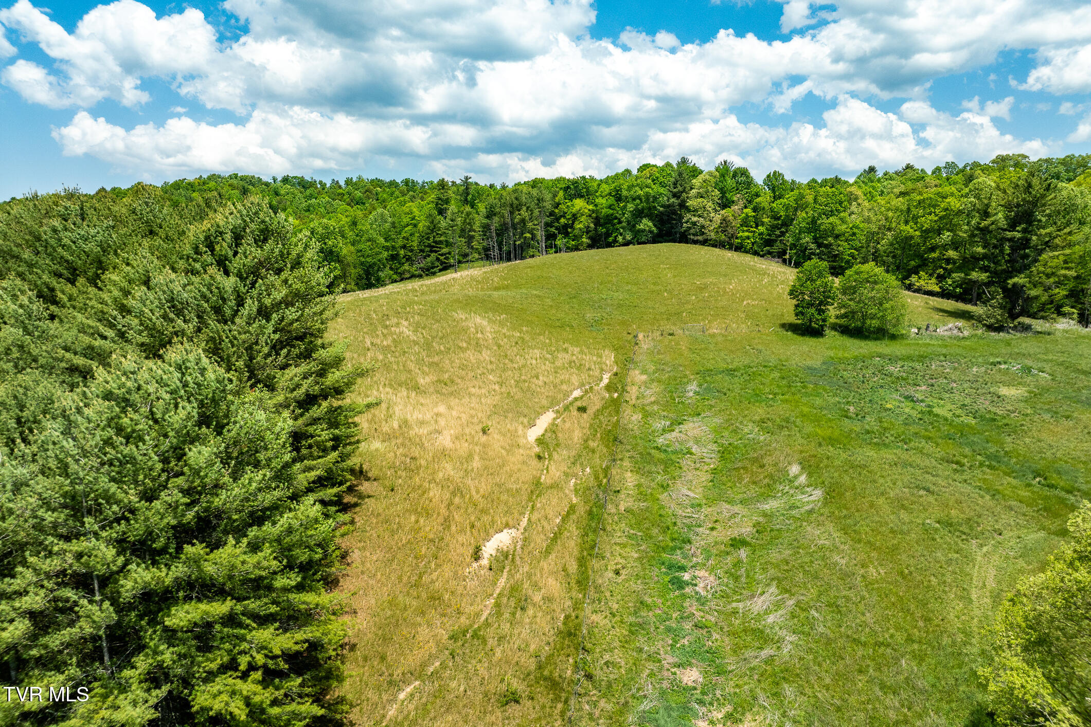 856 Shingletown Road Mountain City, TN 37683 - Photo 18 of 77 856 Shingletown Road (18 of 91)
