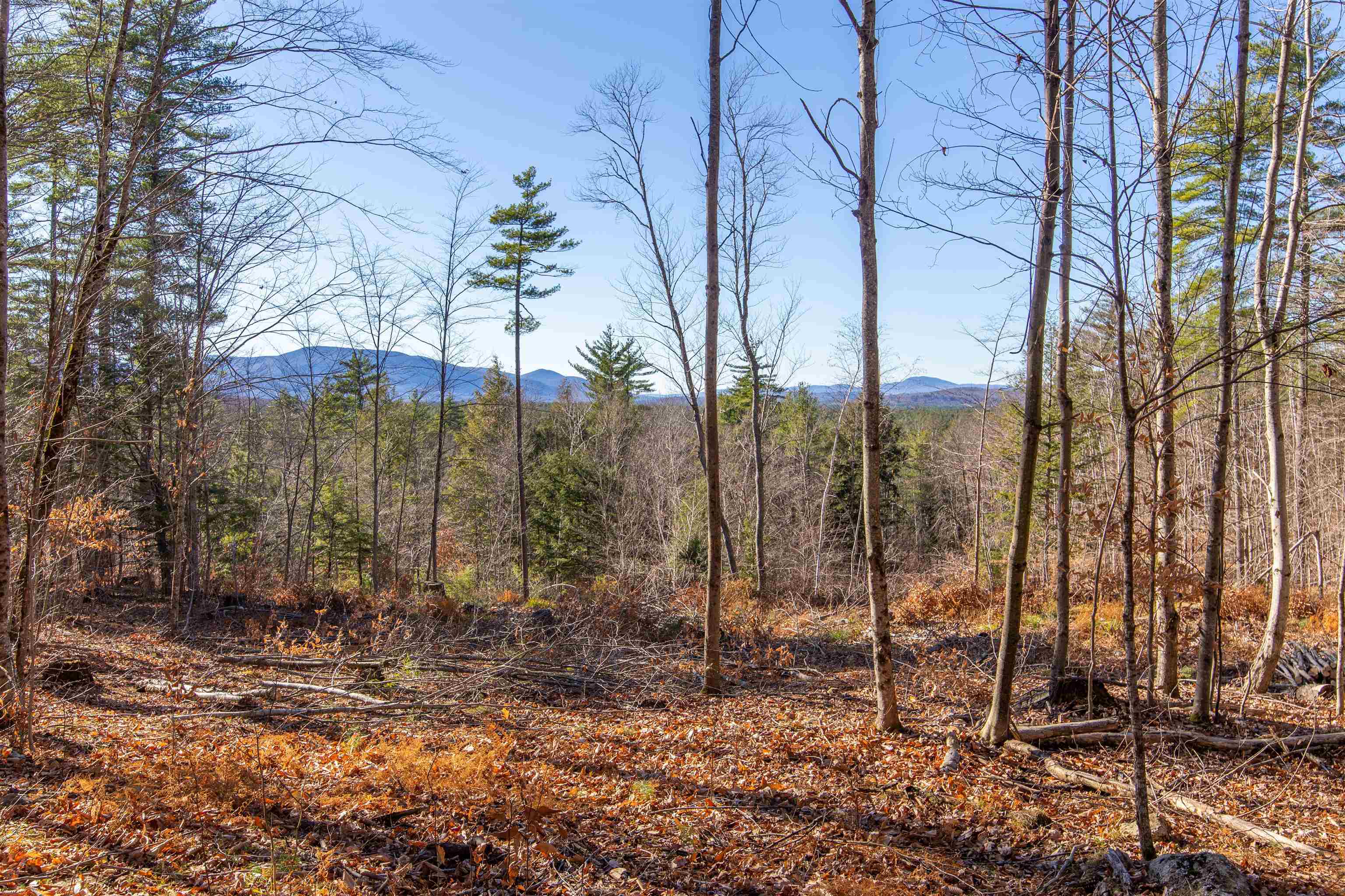 678 Lead Mine Road Madison, NH 03849 - Photo 1 of 38