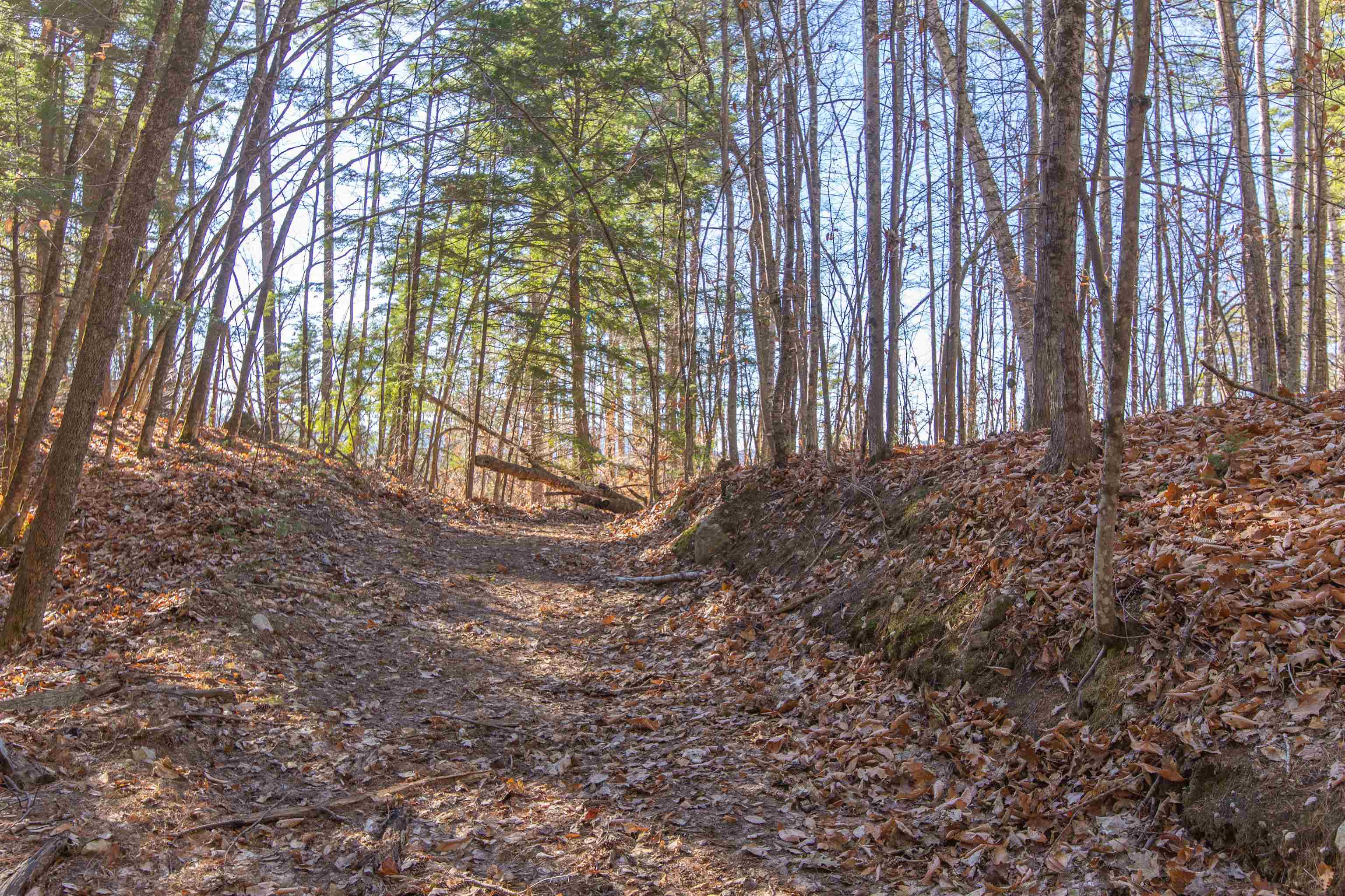 678 Lead Mine Road Madison, NH 03849 - Photo 19 of 38