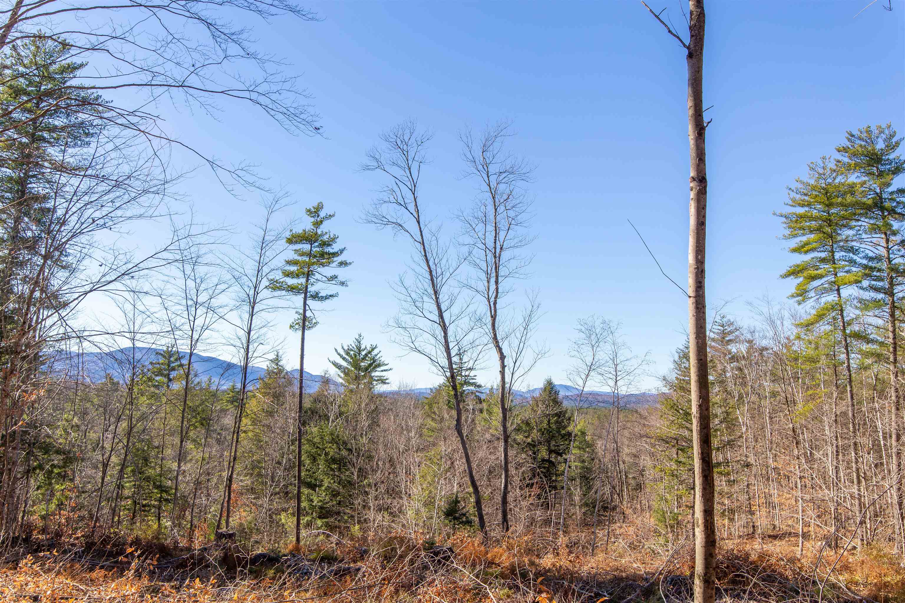 678 Lead Mine Road Madison, NH 03849 - Photo 2 of 38