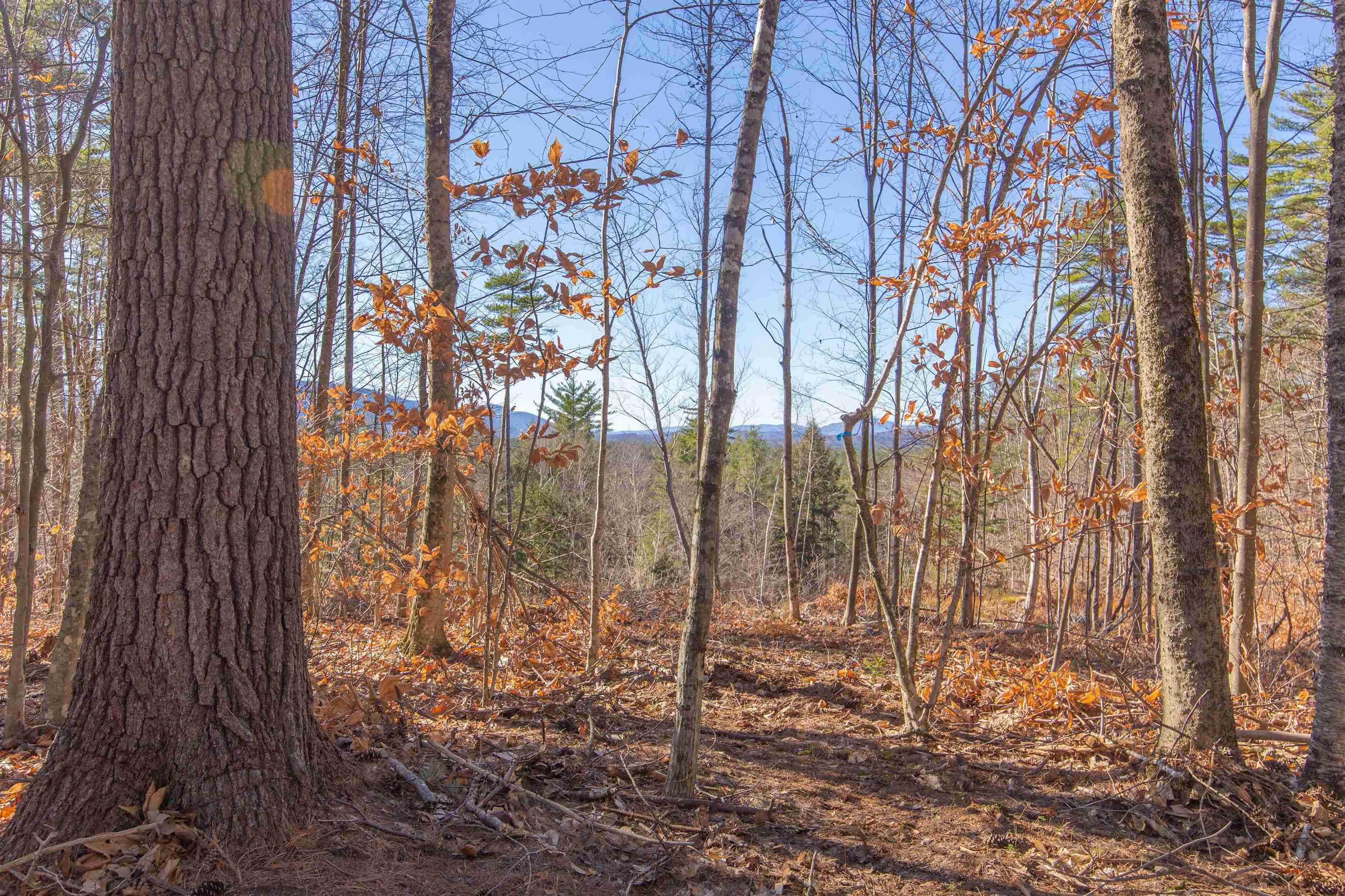 678 Lead Mine Road Madison, NH 03849 - Photo 21 of 38