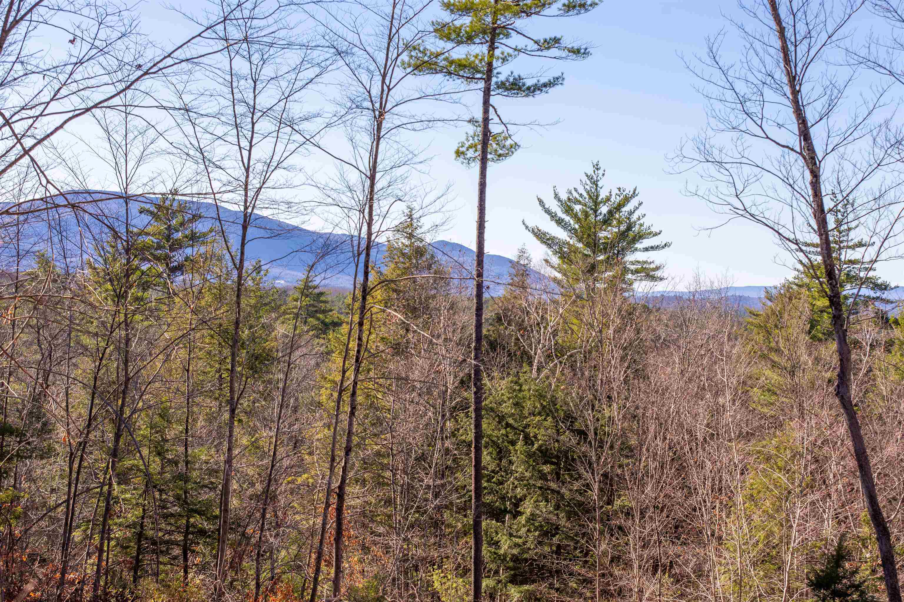 678 Lead Mine Road Madison, NH 03849 - Photo 27 of 38