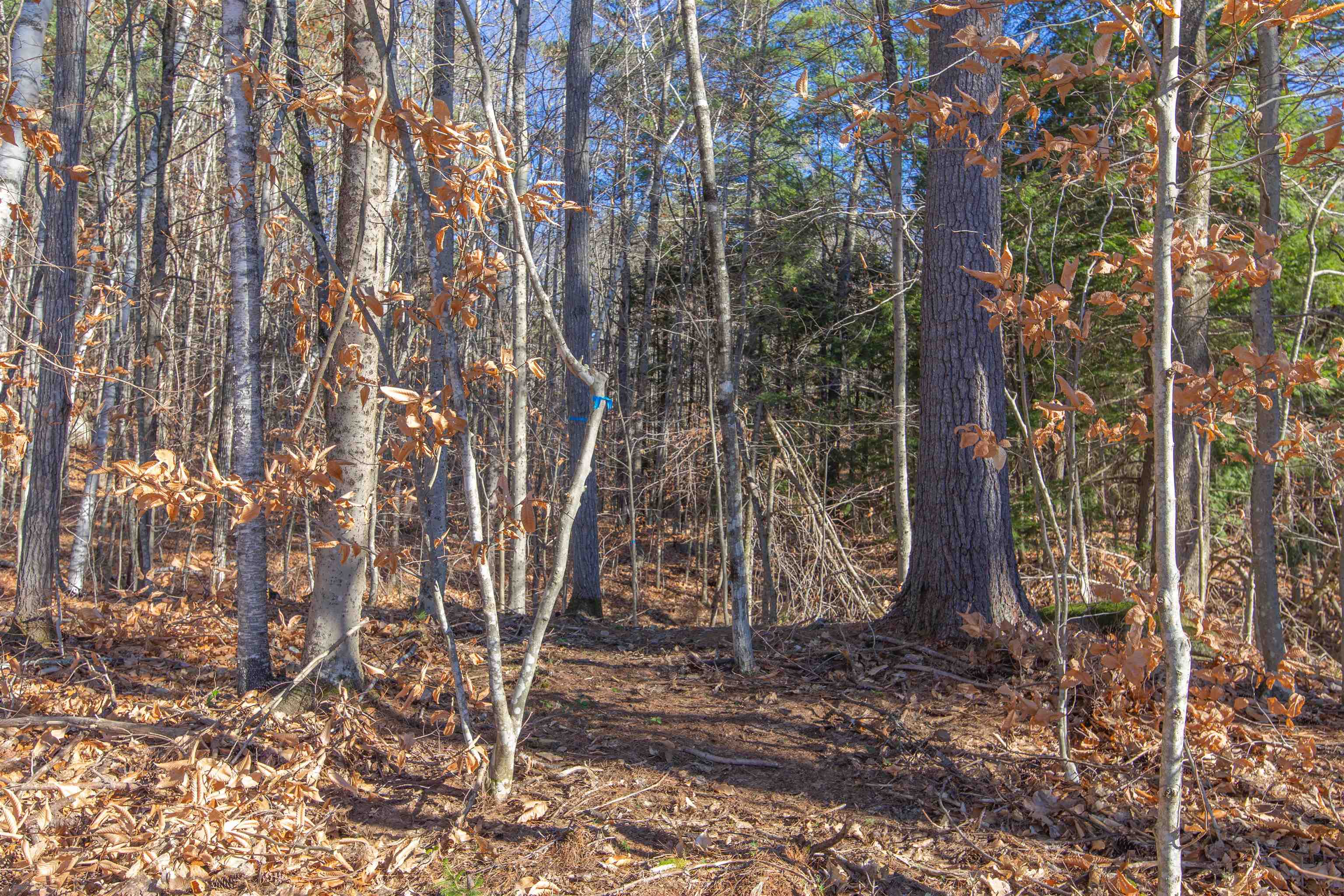 678 Lead Mine Road Madison, NH 03849 - Photo 29 of 38