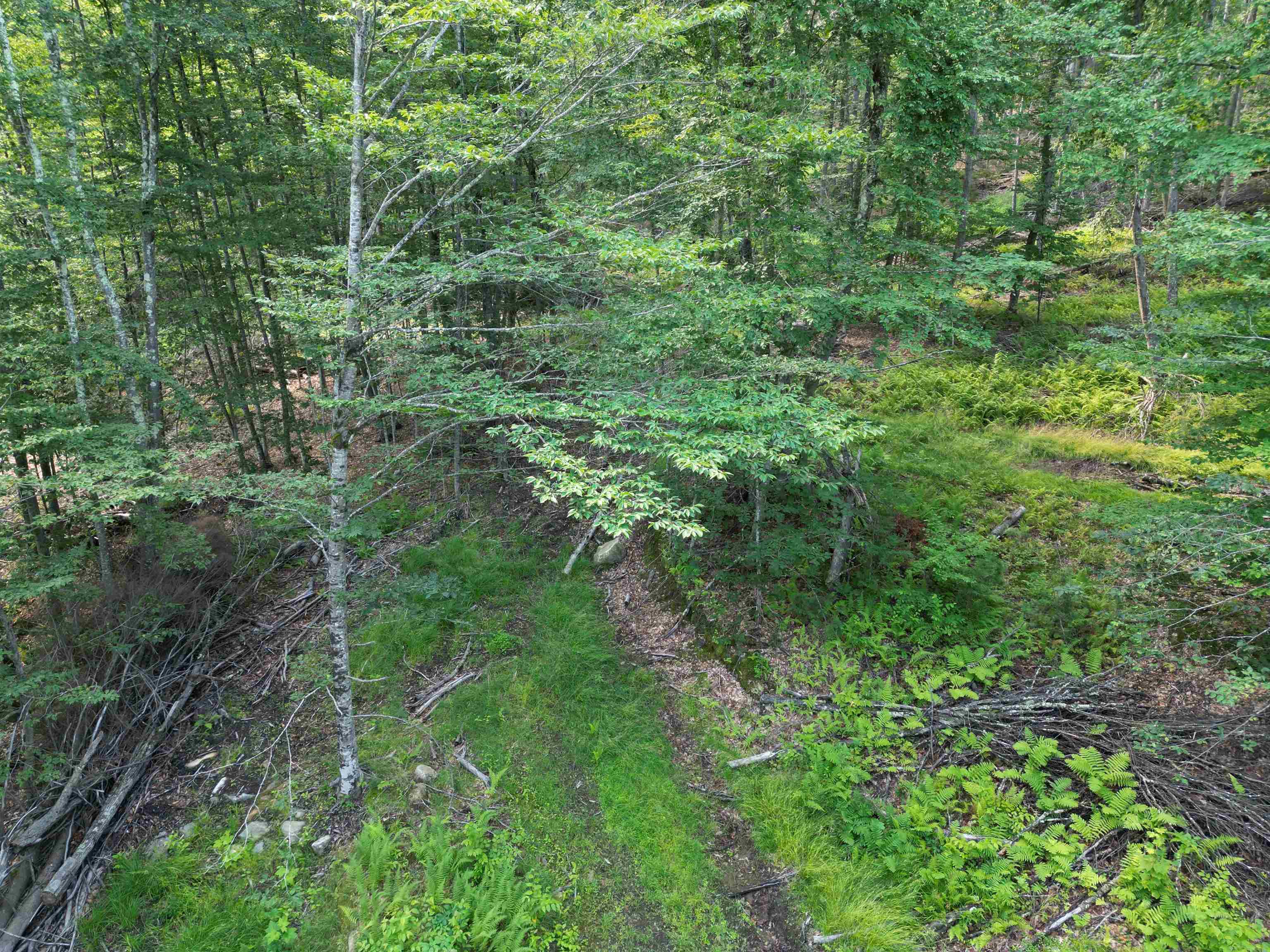 0 Dover Road, Unit 8 South Newfane, VT 05351 - Photo 12 of 13 Gallery Image 12
