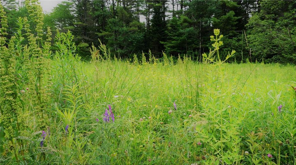 531 Meadow Road Durham, ME 04222 - Photo 12 of 21 Photo