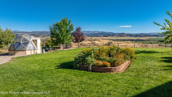 a view of a backyard with plants and a lake