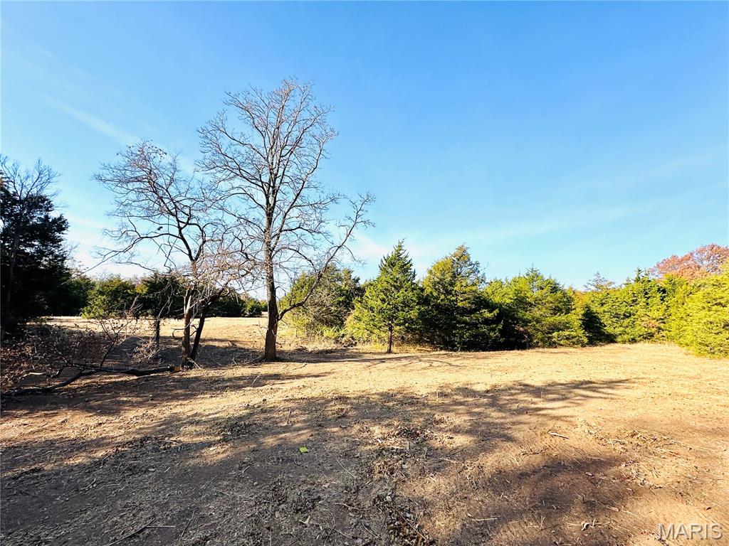9-935 Audrain Road Mexico, MO 65265 - Photo 3 of 6