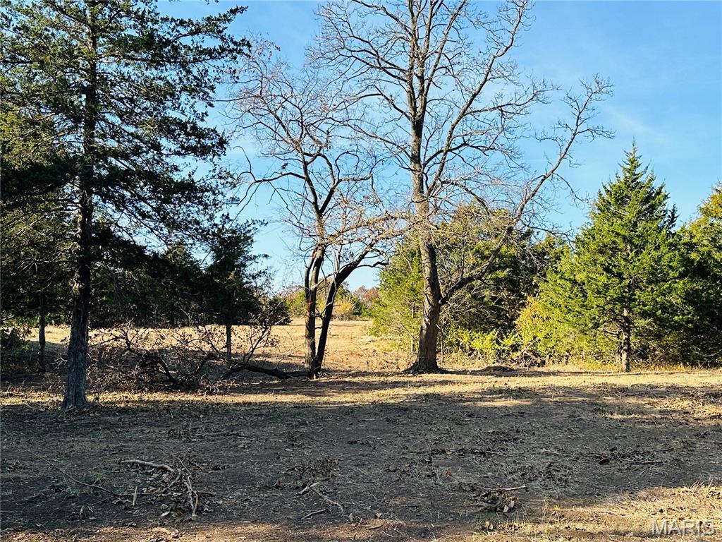 9-935 Audrain Road Mexico, MO 65265 - Photo 5 of 6
