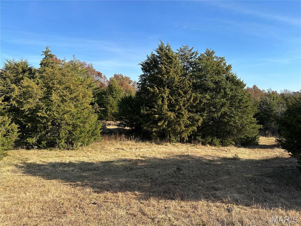 9-935 Audrain Road Mexico, MO 65265 - Photo 6 of 6