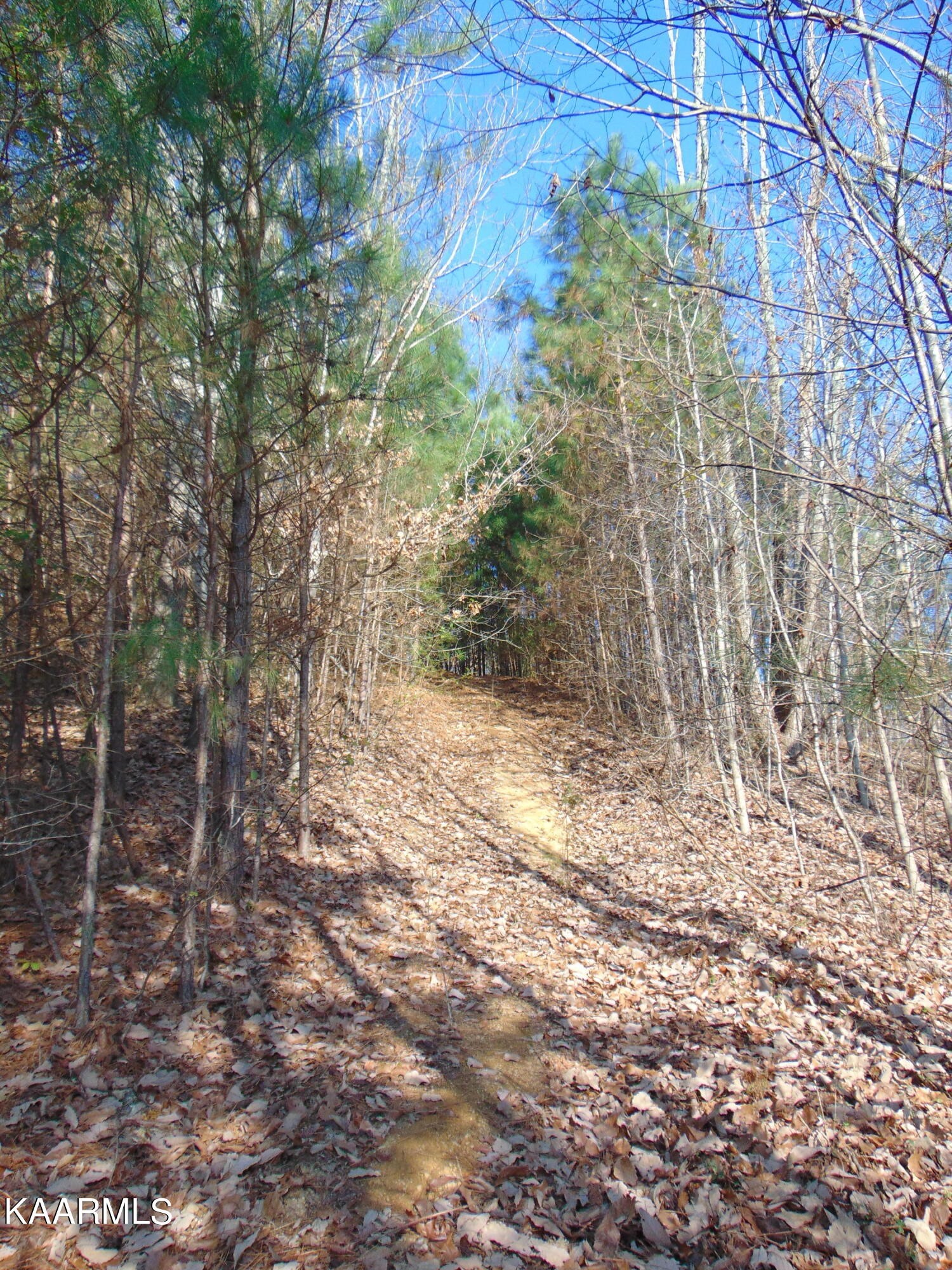 738 Lamontville Road Decatur, TN 37322 - Photo 23 of 60