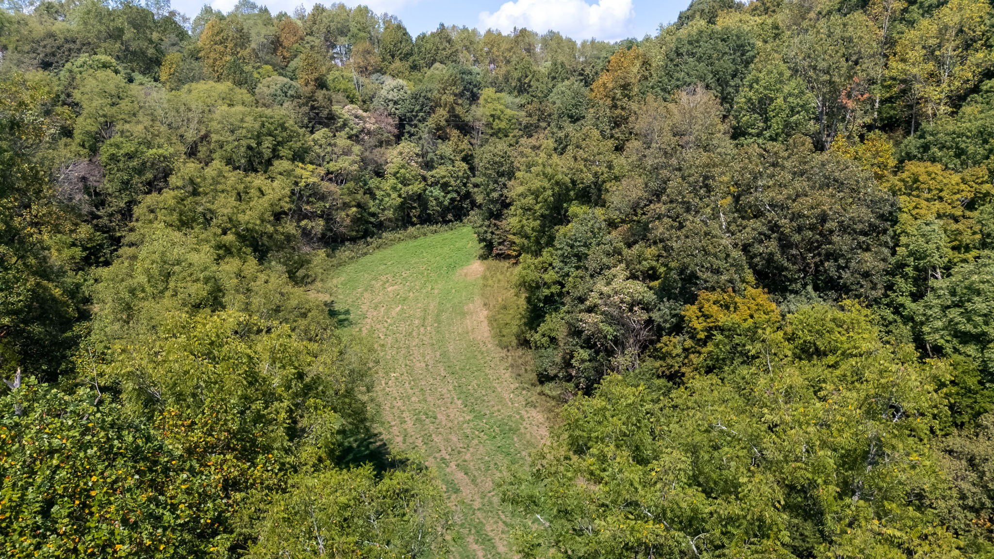 384 Big Spring Hollow Road Pulaski, TN 38478 - Photo 3 of 54 Gallery Image 3