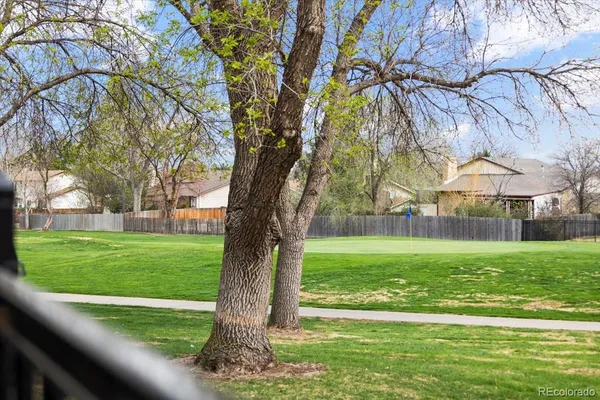 a view of a trees in a yard