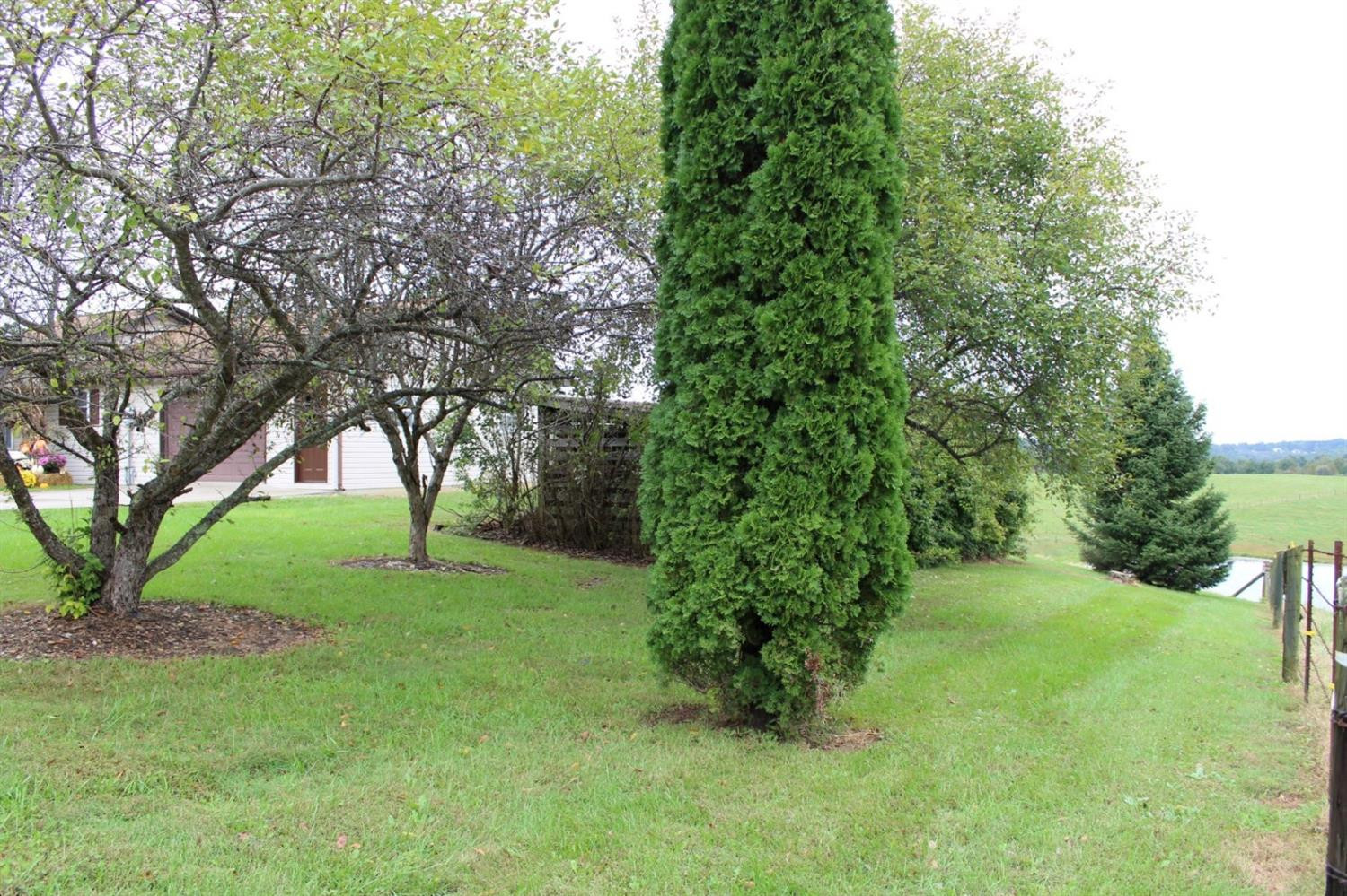 541 Peters Road McKee, KY 40447 - Photo 10 of 34 Listing Photo
