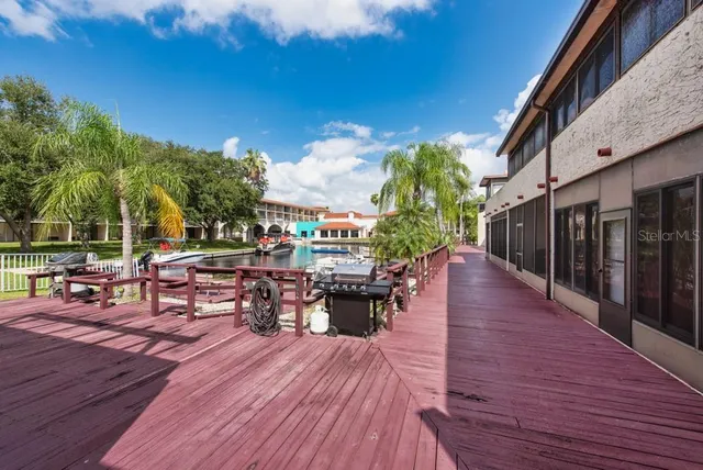 a view of a backyard with plants and patio